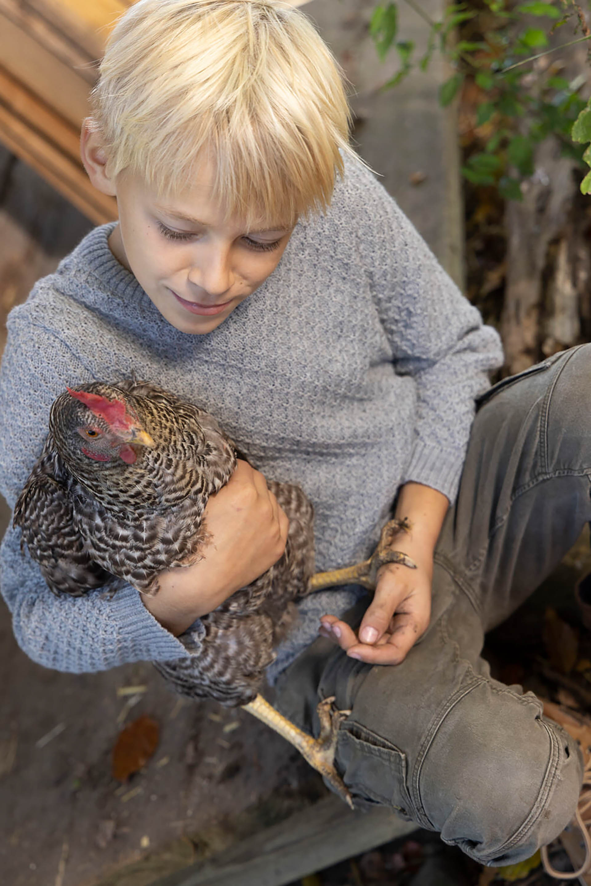 Blonder Junge in disana Aran-Pullover in Grau und schwarzer Jeans hält ein schwarz-weißes Huhn im rechten Arm